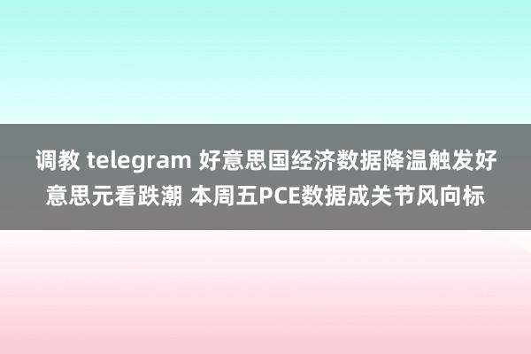 调教 telegram 好意思国经济数据降温触发好意思元看跌潮 本周五PCE数据成关节风向标