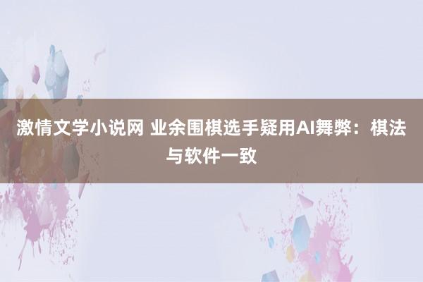 激情文学小说网 业余围棋选手疑用AI舞弊：棋法与软件一致