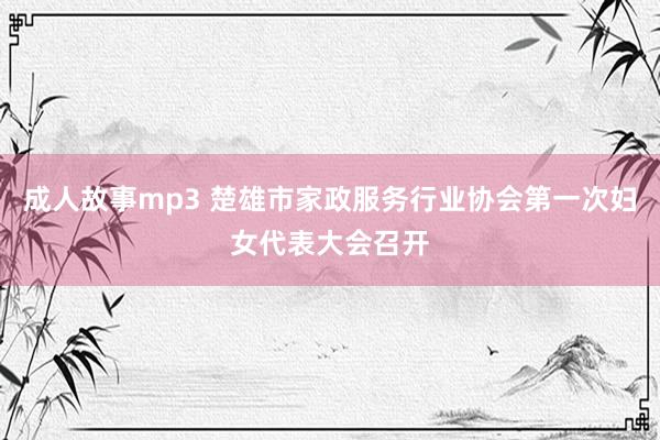 成人故事mp3 楚雄市家政服务行业协会第一次妇女代表大会召开