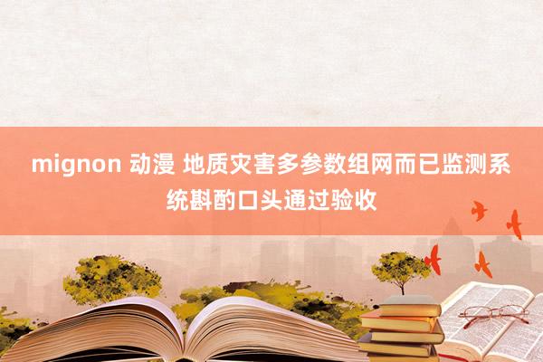 mignon 动漫 地质灾害多参数组网而已监测系统斟酌口头通过验收