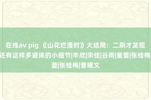 在线av pig 《山花烂漫时》大结局：二刷才发现，正本还有这样多避讳的小细节|辛欣|宋佳|谷雨|童蕾|张桂梅|曹曦文