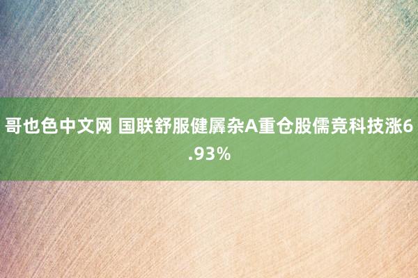 哥也色中文网 国联舒服健羼杂A重仓股儒竞科技涨6.93%