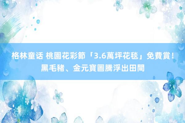 格林童话 桃園花彩節「3.6萬坪花毯」免費賞！黑毛豬、金元寶圖騰浮出田間